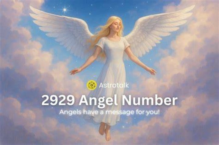 2929 金指 誤爆ストーリーを読み解くための視点
